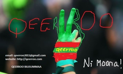 Qeerroo Bilisummaa