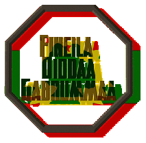 Guyyaan FDG University Dirree Daawwaattti Kabajame