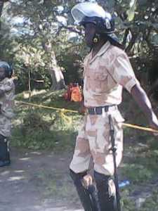 Qeerroo Oromoo adamsuuf ergamtoota Wayyeenee bobba'an