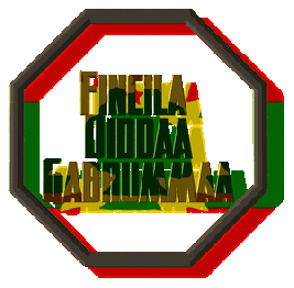 Fincila-Diddaa-Gabrummaa