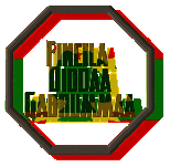 Fincila-Diddaa-Gabrummaa