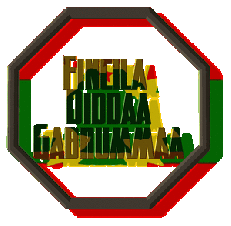 Fincila-Diddaa-Gabrummaa