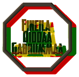 Fincila-Diddaa-Gabrummaa