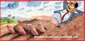 Oromia samamaa jirtu