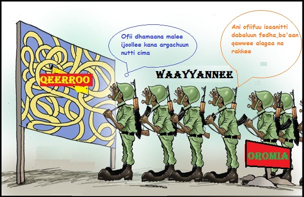 Wayyaanee
