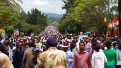 1545093_448374838634084_3705886963019588222_n