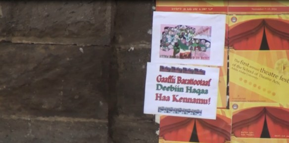 Image result for Barruu warraaqsaa