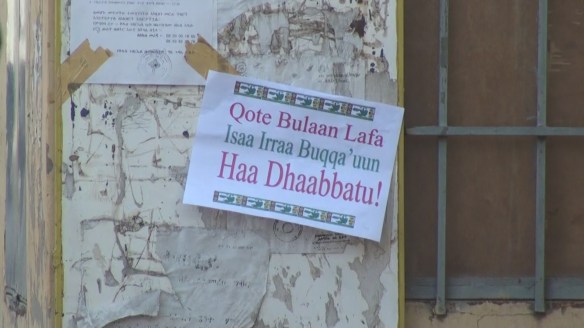 Image result for Barruu warraaqsaa