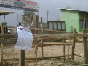 IMG01251-20141106-1957