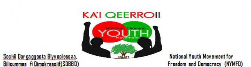 Oromia: Labsa Ficincila Xumura Gabrummaa Qeerroo Bilisummaa Oromoo Irraa Bahe: Renewed Declaration of Protest to Culminate Slavery | OromianEconomist