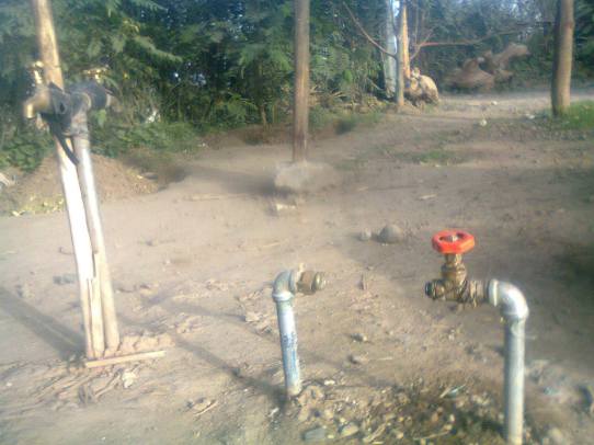 11642108_728756840603722_10290469_o