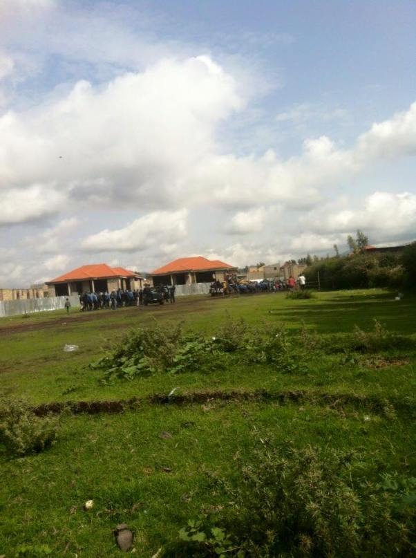 11796207_1656363977909021_7197991720254646806_n