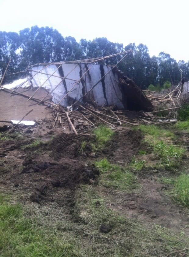 11796308_1656341984577887_5825414882182086095_n