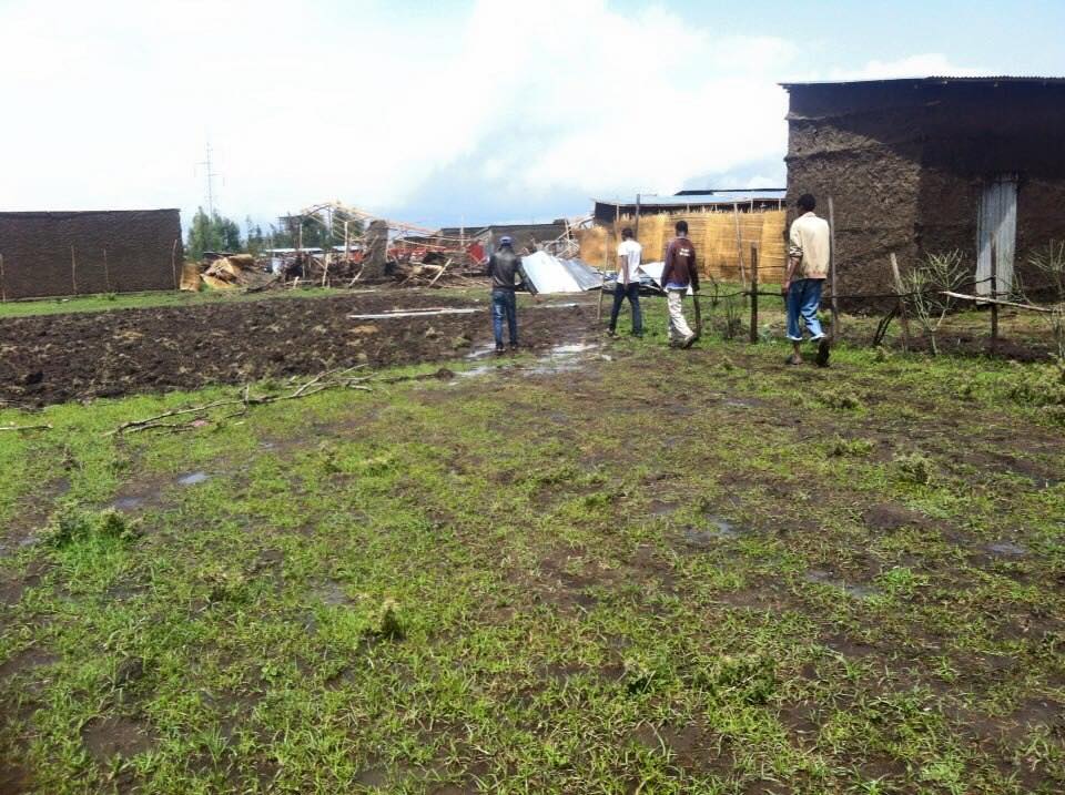 11817189_1656364024575683_3418447197247010112_n