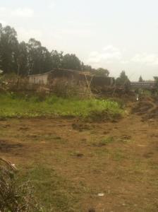 11822784_1656351851243567_8731301534385438445_n