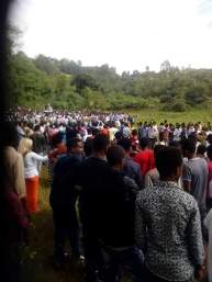 FB_IMG_1447282733579