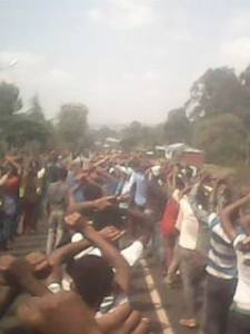 Ijaajjii iluu galaan