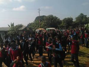 Naqamte mudde 11 2015