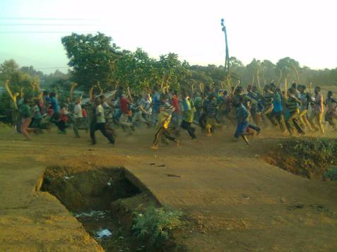 12510135_562680647217188_1903826929_o