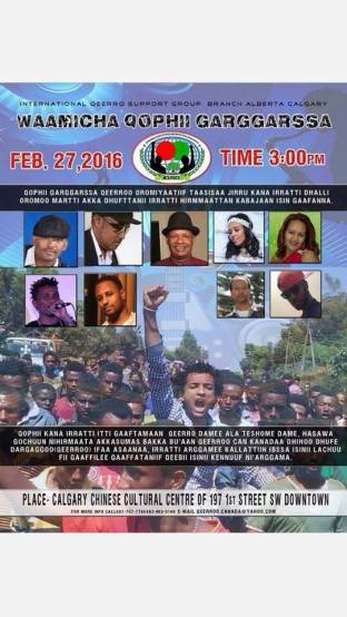 12648186_1269060986453715_1199128968_n