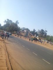 11154822_1733603130210105_7700038345805393714_o