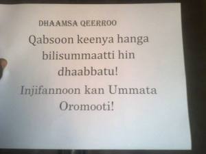 12672129_591219321029987_8161975050588775534_o