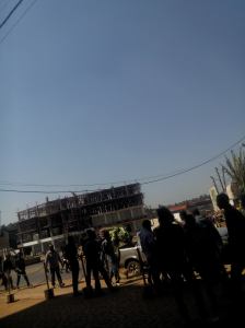 12772100_1731876947049390_6073919628503553568_o