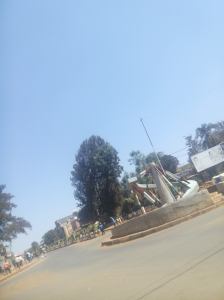 12778738_1731876943716057_3024529562138190953_o (1)