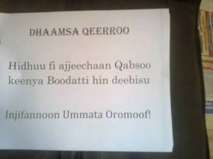 12819337_591219014363351_1390262068394228145_o