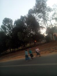 IMG_20160304_122951 (1)