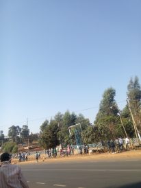 IMG_20160305_144550 (1)