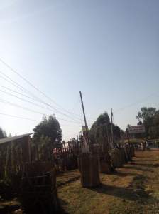 received_572079532967972