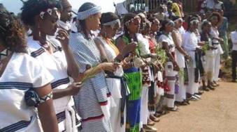 13233352_1609276602733160_1823776656_n