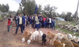 13497936_134055650350611_5703429190010668559_o