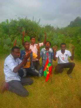 13508920_266262650404481_3813422291864360533_n