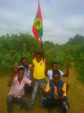 13510951_253166505054543_5875196660653631485_n