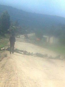 13615248_1116940115040042_6628805341103642323_n