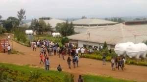 received_1766061040305670