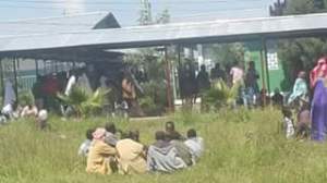 14184353_1093987947353240_1319711451092704951_n