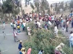 14184553_1584923995145172_2022012586903986552_n