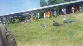 14192776_1093987890686579_478949996451881251_n