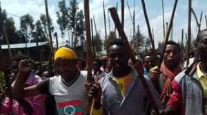 14355651_10102538616054873_8183327846946256952_n