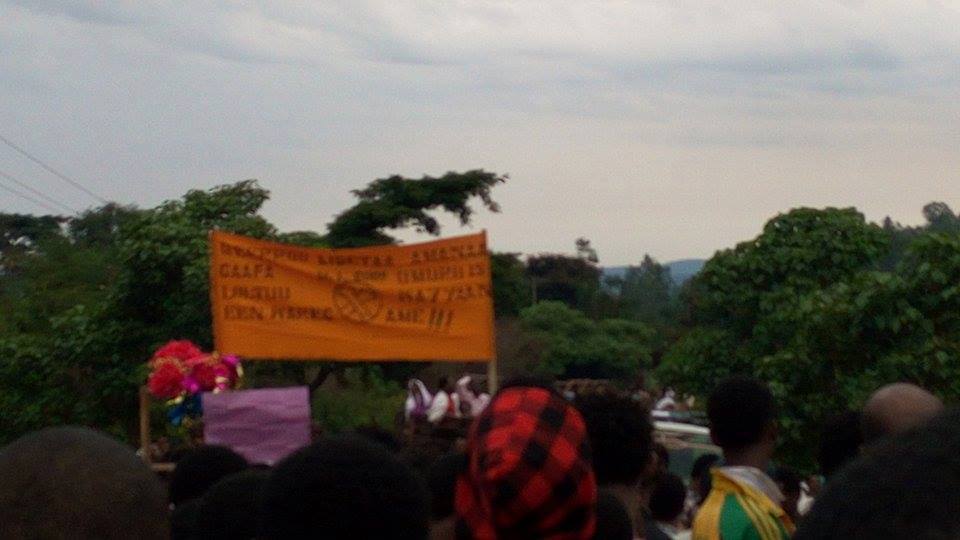 14440685_10102563531359403_7695636241603273964_n