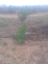 17038570_764306650387919_4918306963110423302_o