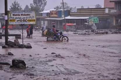 20108357_448266848888094_2018729140264253968_n