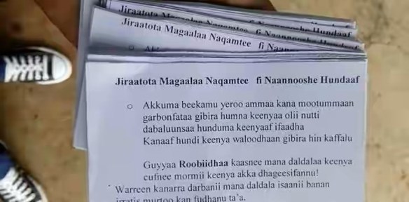 20139599_10103252738048673_8889980020033865440_n