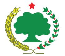 49836961_1847712095355333_3193898111219007488_o